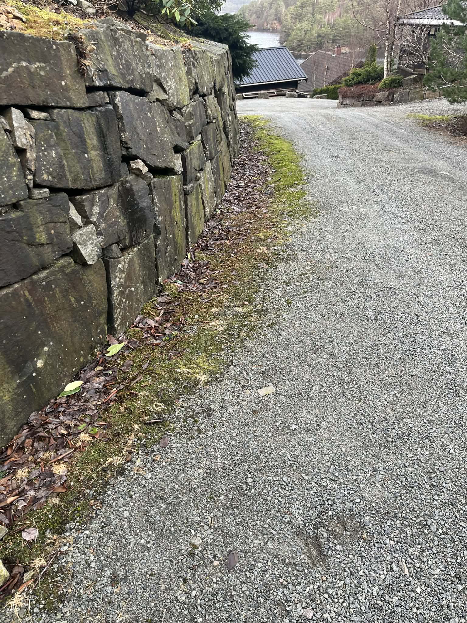 Veien før